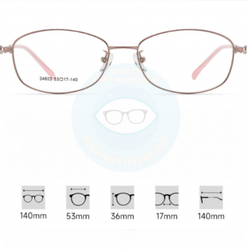 Gọng kim loại công sở mã 34603